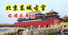大屌操老太太性爱视频中国北京-东城古宫旅游风景区